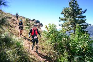 BIB: 
                            <button type="button" onclick="openModal(26601568)" class="btn btn-primary btn-sm float-right btn-popup" data-toggle="modal" data-target=".modal-high-quality">
                        <i class="fas fa-shopping-cart"></i> Add to Cart
                    </button>
                                            <button type="button" onclick="isThisMe(26601568, true)" class="btn btn-success btn-sm float-right btn-popup btn-isme hidden" data-toggle="tooltip" data-placement="bottom" title="นี่คือรูปของคุณใช่ไหม คลิกที่นี่เพื่อเอาเข้าอัลบั้ม">
                        <i class="fas fa-plus"></i> Add to album
                    </button>
                    <button type="button" onclick="isThisMe(26601568, false)" class="btn btn-warning btn-sm float-right btn-popup btn-isnotme hidden">
                        <i class="fas fa-ban"></i> Remove from album
                    </button>